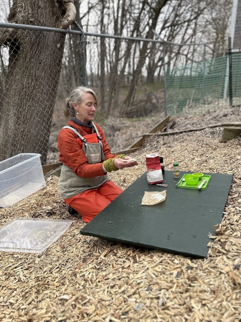 teacher in the circle activity