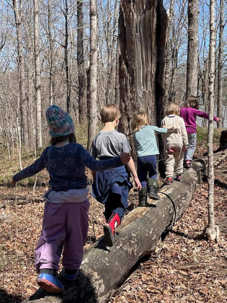 kids on logs